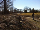 brush down at top of small hill