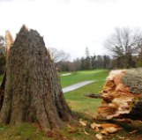 Damage From Sandy