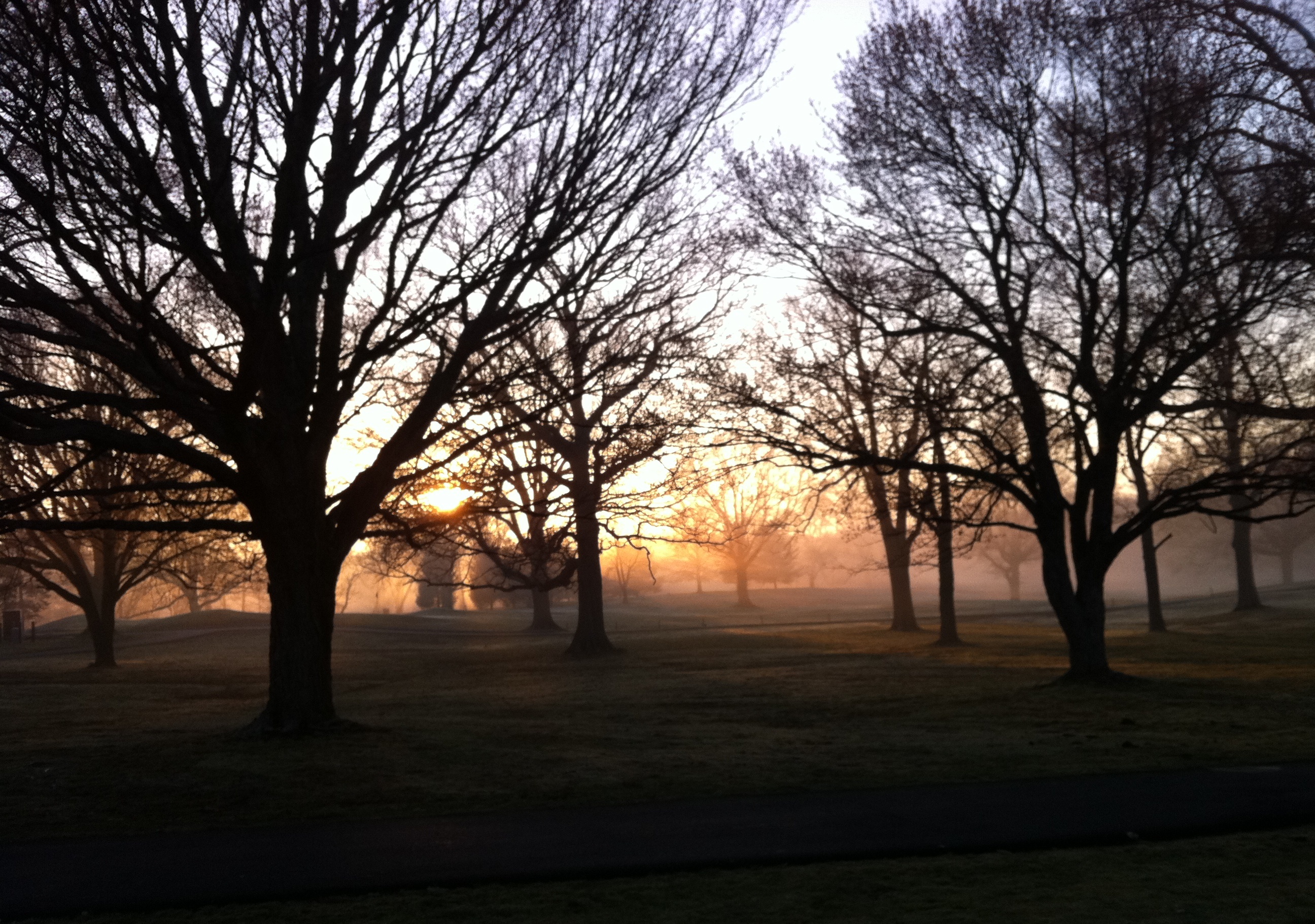 Spring Dawn on the First Hole